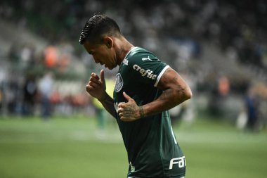 Paulista Futbol Şampiyonası 2022 Palmeira ve Agua Santa. 1 Şubat 2022, Sao Paulo, Brezilya: Palmeiras ve Agua Santa arasındaki futbol maçı, 2022 Paulista Futbol Şampiyonası 'nın 3. turu için geçerlidir.