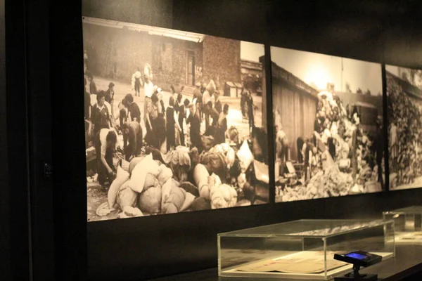 Holocaust Museum Curitiba Februar 2022 Curitiba Parana Brasilien Blick Auf — Stockfoto
