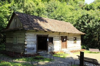 (Curitiba şehrindeki Bosque do Papa 'nın manzarası. Fabruary 11, 2022, Curitiba, Parana, Brezilya: Curitiba halkı tarafından 