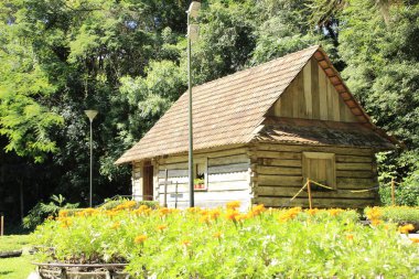 (Curitiba şehrindeki Bosque do Papa 'nın manzarası. Fabruary 11, 2022, Curitiba, Parana, Brezilya: Curitiba halkı tarafından 