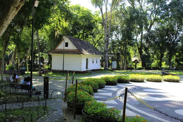 Int Vista Del Bosque Papa Ciudad Curitiba Fabruario 2022 Curitiba — Foto de Stock