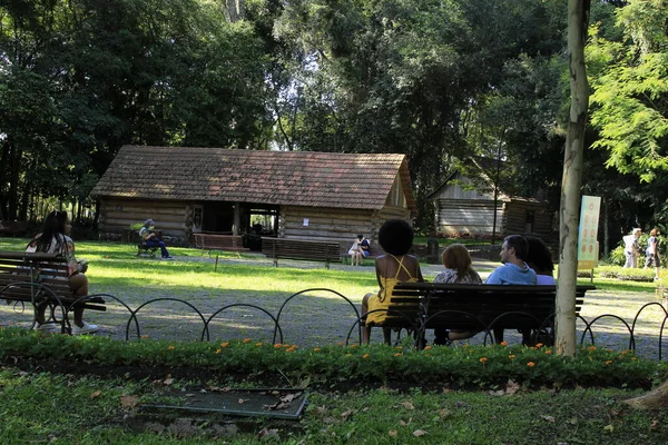 Int Vista Del Bosque Papa Ciudad Curitiba Fabruario 2022 Curitiba — Foto de Stock