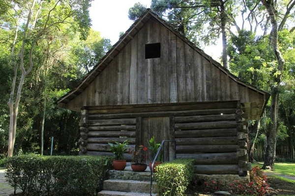 (Curitiba şehrindeki Bosque do Papa 'nın manzarası. Fabruary 11, 2022, Curitiba, Parana, Brezilya: Curitiba halkı tarafından 