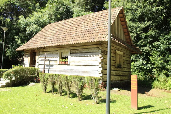 Int Blick Auf Bosque Papa Der Stadt Curitiba Fabruar 2022 — Stockfoto