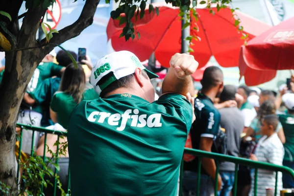 Fanoušci Palmeiras Sledují Zápas Proti Chelsea Světový Pohár Fifa Club — Stock fotografie