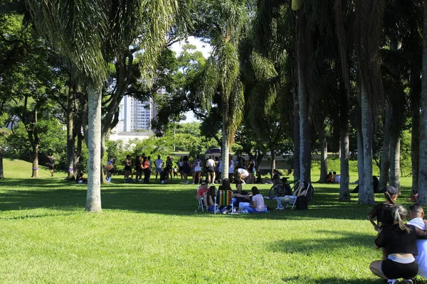 Güneşli Bir Gün Halkı Curitiba Daki Barigui Park Götürür Şubat — Stok fotoğraf