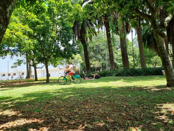 Gente Disfruta Otro Día Intenso Calor Ciudad Sao Paulo Parque — Foto de Stock