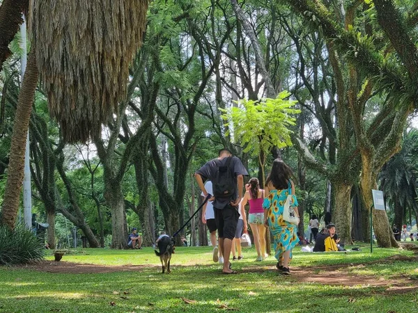 Gente Disfruta Otro Día Intenso Calor Ciudad Sao Paulo Parque — Foto de Stock