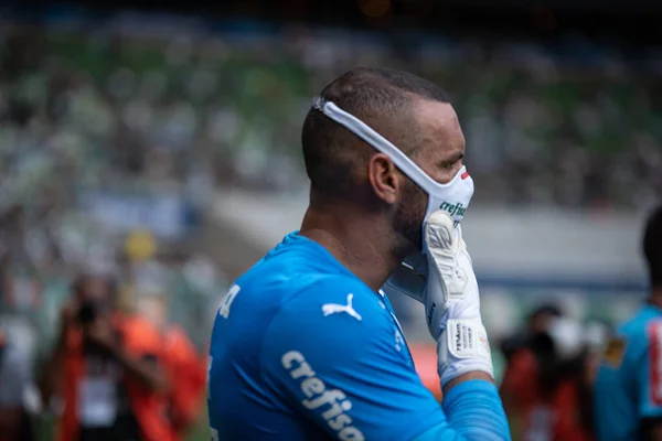 Campionato Calcio Paulista Palmeiras Guarani Marzo 2022 San Paolo Brasile — Foto Stock