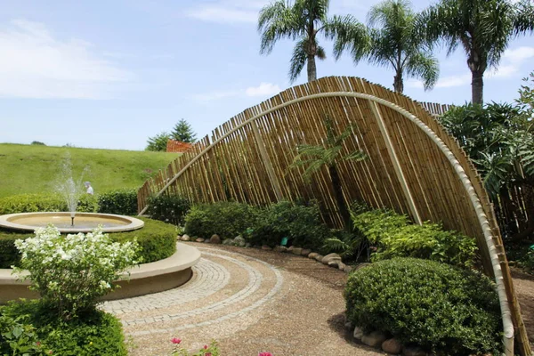 クリチバの植物園での動き 2022年3月8日ブラジル パラナ州クリチバ 首都の激しい熱を持つ火曜日 クリチバ市の主要なポストカードや観光スポットの1つである植物園での動き — ストック写真