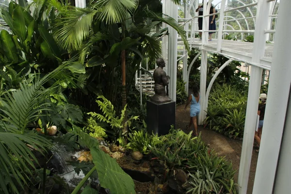 Movimiento Jardín Botánico Curitiba Marzo 2022 Curitiba Paraná Brasil Movimiento — Foto de Stock