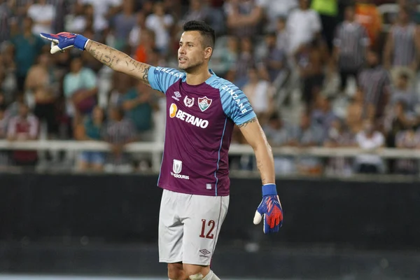 Rio Janeiro Brazil August 2023 Match Fluminense Olimpia Libertadores 2023 –  Stock Editorial Photo © A.Paes #673275928