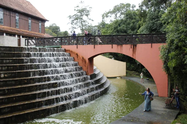 Movimento Visitantes Floresta Municipal Alemã Curitiba Março 2022 Curitiba Paraná — Fotografia de Stock