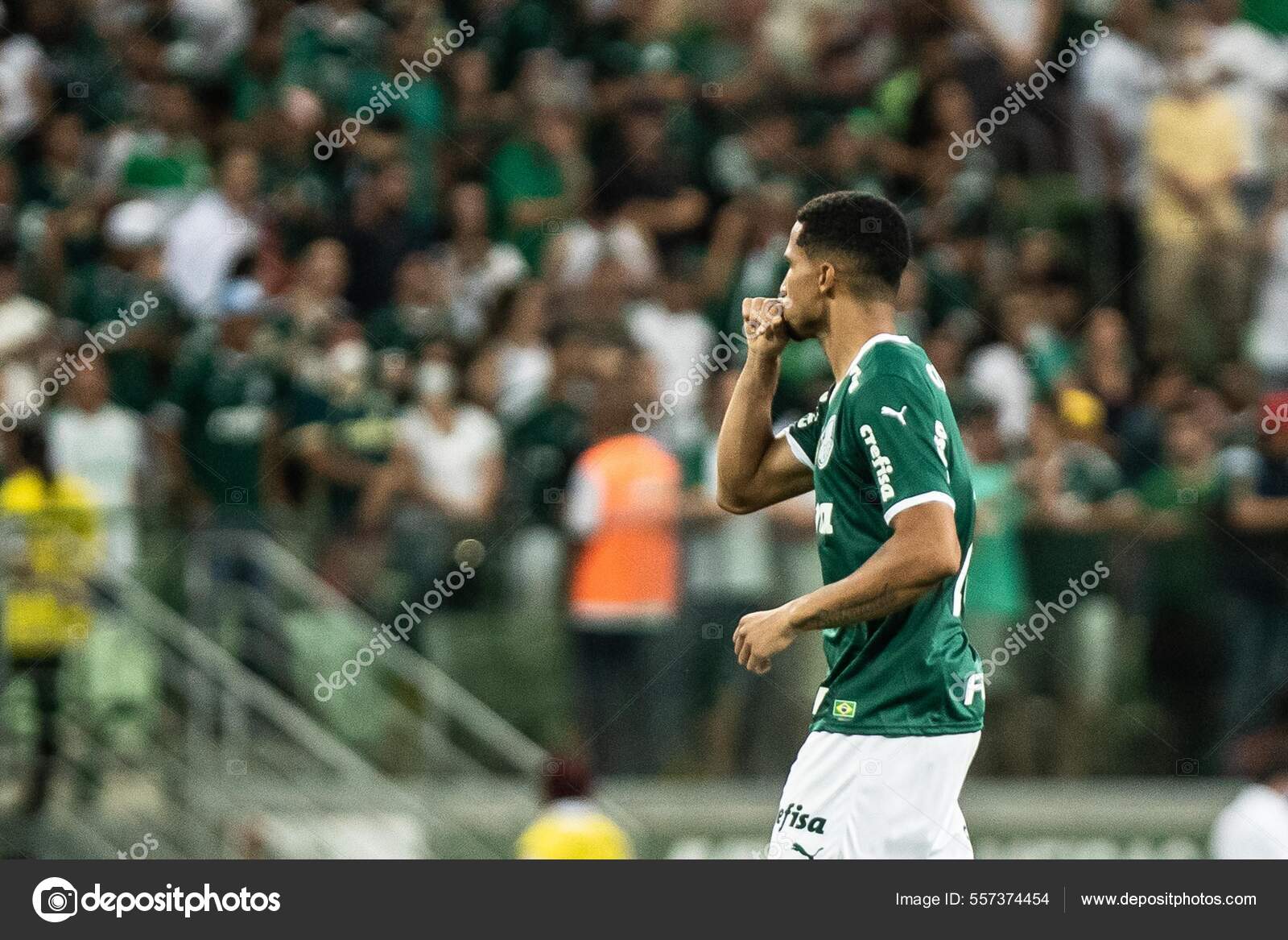 Copa Libertadores Futebol Fase Grupos Coríntios Deportivo Cali