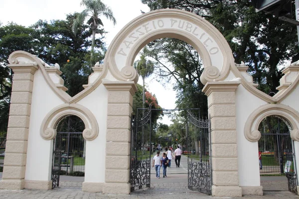 Jahrestag Von Curitiba Kehrt Leaves Family Zurück Die Nachhaltigkeit Stärken — Stockfoto