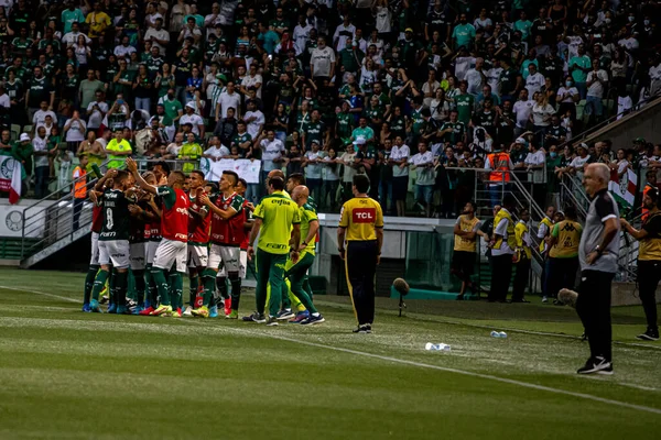 Campeonato Brasileiro Futebol Palmeiras Ceará Abril 2022 São Paulo Brasil — Fotografia de Stock