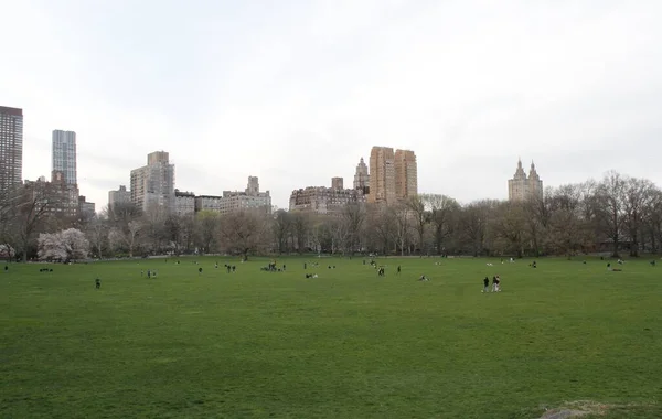 Central Park Büyük Çimleri Halka Açıldı Nisan 2022 New York — Stok fotoğraf