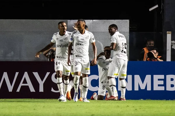 Sudamericana Soccer Cup Fase Grupos Santos Universidad Católica Ecuador Abril — Foto de Stock