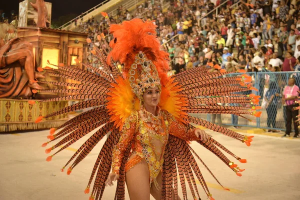 Rio Janeiro Carnival Parade Rio Janeiro Gold Series Samba Schools — стоковое фото