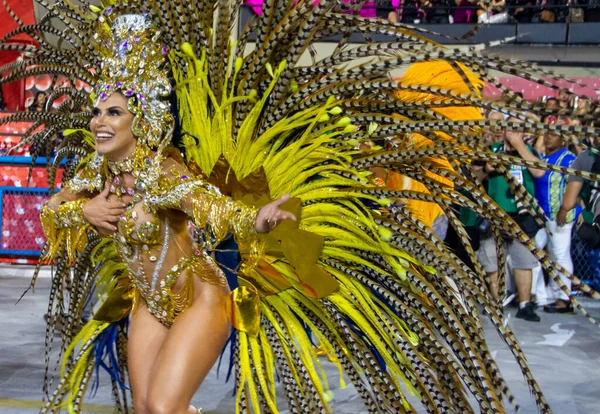 Rio Janeiro Carnival Parade Paraiso Tuiuti Samba School Special Group — стоковое фото