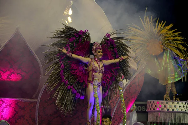 Sao Paulo Carnival Perola Negra Samba School Parade Access Group — Stock fotografie