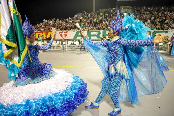 Sao Paulo Carnival Special Group Parade Mancha Verde Samba School — стоковое фото