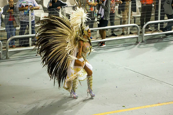 Grupo Especial Carnaval Sao Paulo Desfile Escuela Unidos Vila Maria — Foto de Stock