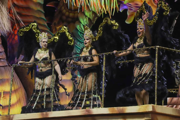 Sao Paulo Carnival Special Group Parade Unidos Vila Maria Samba — стоковое фото