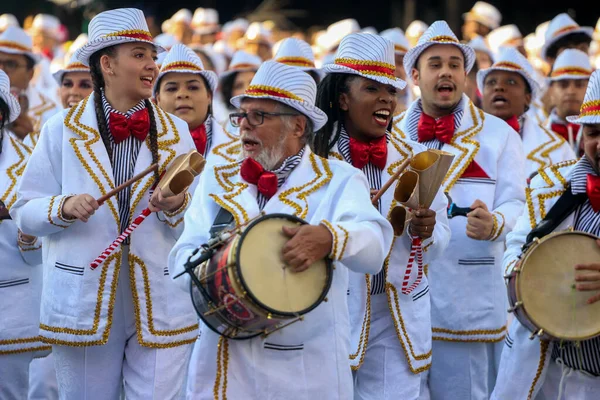 Sao Paulo Carnival Special Group Parade Dragoes Real Samba School — стоковое фото