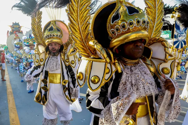 상파울루 사육제 스페셜 Parade Dragoes Real Samba School 브라질 파울로 — 스톡 사진