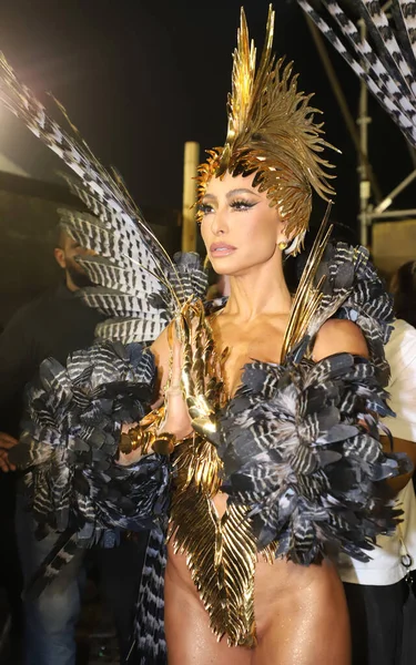 Sao Paulo Karnavalı Gösteriden Önce Gavioes Fiel Davul Kraliçesi Sabrina — Stok fotoğraf
