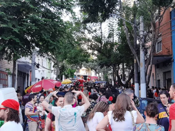 Street Carnival Sao Paulo Revelers Szórakozni Áthaladása Során Bloco Fua — Stock Fotó