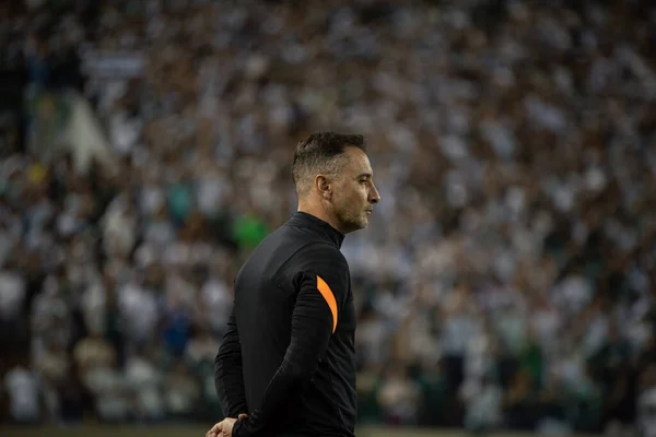 Campeonato Brasileiro Futebol Palmeiras Corinthians Abril 2022 Barueri São Paulo — Fotografia de Stock