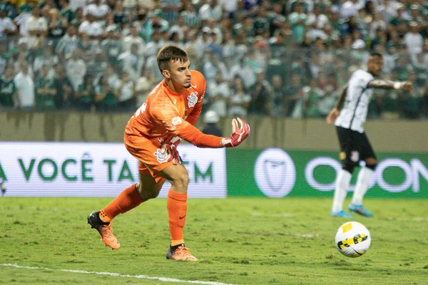 Campeonato Brasileiro Futebol Palmeiras Corinthians Abril 2022 Barueri São Paulo — Fotografia de Stock