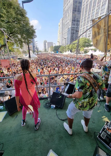 Street Carnival Sao Paulo Revelers Enjoy Passage Bloco Academicos Baixo — Stock Photo, Image