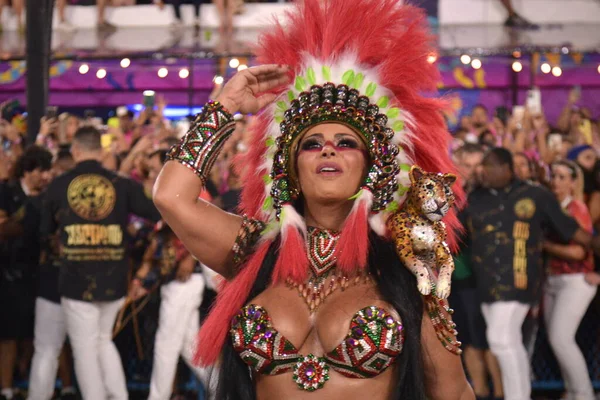 Int Carnaval Van Rio Janeiro Parade Van Salgueiro Samba School — Stockfoto