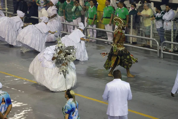 Παρέλαση Των Σχολείων Samba Πρωταθλητής Του Σάο Πάολο Καρναβάλι Ειδική — Φωτογραφία Αρχείου