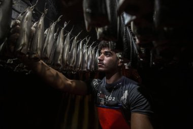 Filistinli tütsülenmiş ringa balığı ve tuzlanmış balığı Gazze 'de satılığa çıkarttı. 1 Nisan 2022, Gazze, Filistin: Filistinliler Maghazi mülteci kampındaki bayram tatilinden günler önce tütsülenmiş ringa balığı ve tuzlanmış balığı pazarlarda satmak için hazırlıyorlar.