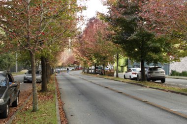 Movement on Autumn Street, in Curitiba, Parana. May 5, 2022, Curitiba, Parana, Brazil: Movement on the Deputado Heitor Alencar Furtado Street, in the neighborhood of Mossungue, in Curitiba, popularly called Autumn Street for the beauty 