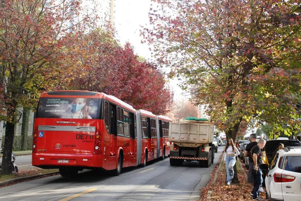 パラナ州クリチバの秋の通りでの動き 2022年5月5日ブラジル パラナ州クリチバ モスクワ近郊のデプタド ヒーター アレンサー フルタド通り 英語版 の動きは 一般的に秋の通りと呼ばれ — ストック写真