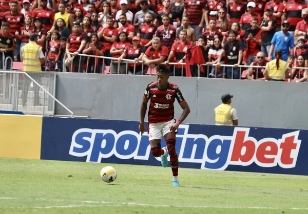 Brazilian Soccer League Flamengo Botafogo May 2022 Federal District Brasilia — Fotografia de Stock