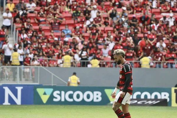 Brazilian Soccer League Flamengo Botafogo May 2022 Federal District Brasilia — ストック写真