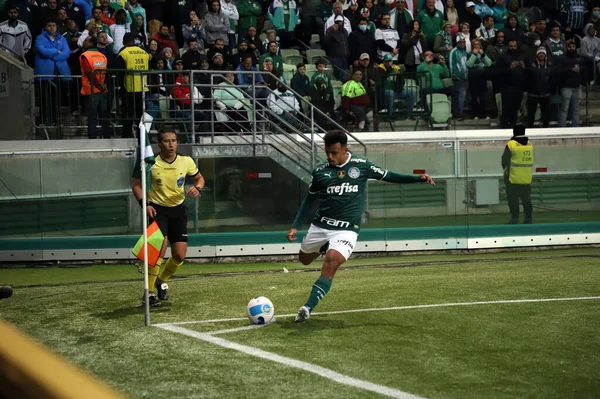 2012 Libertadores Soccer Cup Group Stage Palmeras Emelec 2022 파울로 — 스톡 사진