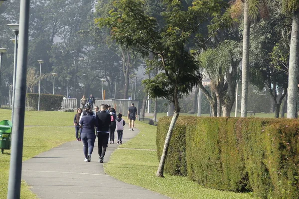 Intenzivní Pohyb Lidí Birigui Parku Curitibě Května2022 Curitiba Parana Brazílie — Stock fotografie