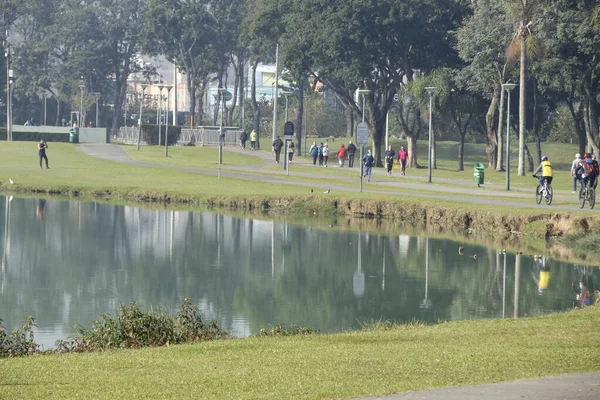Emberek Intenzív Mozgása Birigui Parkban Curitibában Május 2022 Curitiba Parana — Stock Fotó