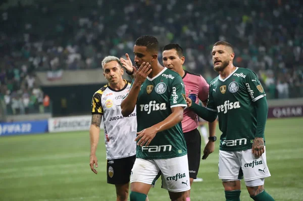 Libertadores Soccer Cup Group Stage Palmeiras Deportivo Tachira Května 2022 — Stock fotografie