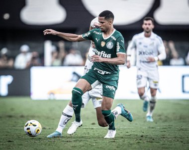 29 Mayıs 2022, Santos, Sao Paulo, Brezilya: Santos ve Palmeiras arasındaki futbol maçı, Sao Paulo sahilindeki Vila Belmiro Stadyumu 'nda düzenlenen Brezilya Futbol Şampiyonası' nın sekizinci turu için geçerlidir.