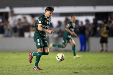 29 Mayıs 2022, Santos, Sao Paulo, Brezilya: Santos ve Palmeiras arasındaki futbol maçı, Sao Paulo sahilindeki Vila Belmiro Stadyumu 'nda düzenlenen Brezilya Futbol Şampiyonası' nın sekizinci turu için geçerlidir.