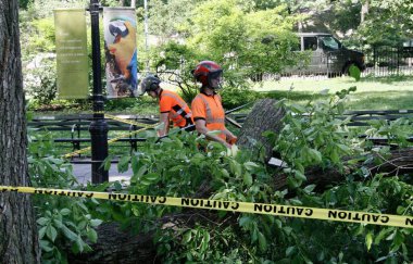 Central Park Hayvanat Bahçesi 'nin önündeki Sağanak Yağmurdan Düşen Ağaç. 29 Mayıs 2022, New York, ABD: Büyük bir ağacın bazı dalları, Central Park hayvanat bahçesinin önündeki şiddetli yağış nedeniyle devrildi