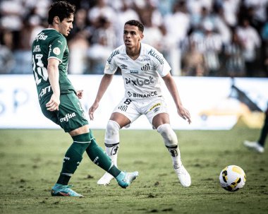 29 Mayıs 2022, Santos, Sao Paulo, Brezilya: Santos ve Palmeiras arasındaki futbol maçı, Sao Paulo sahilindeki Vila Belmiro Stadyumu 'nda düzenlenen Brezilya Futbol Şampiyonası' nın sekizinci turu için geçerlidir.